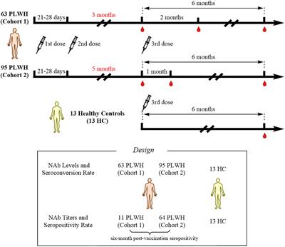 Extending the dosing interval of COVID-19 vaccination leads to higher rates of seroconversion in people living with HIV